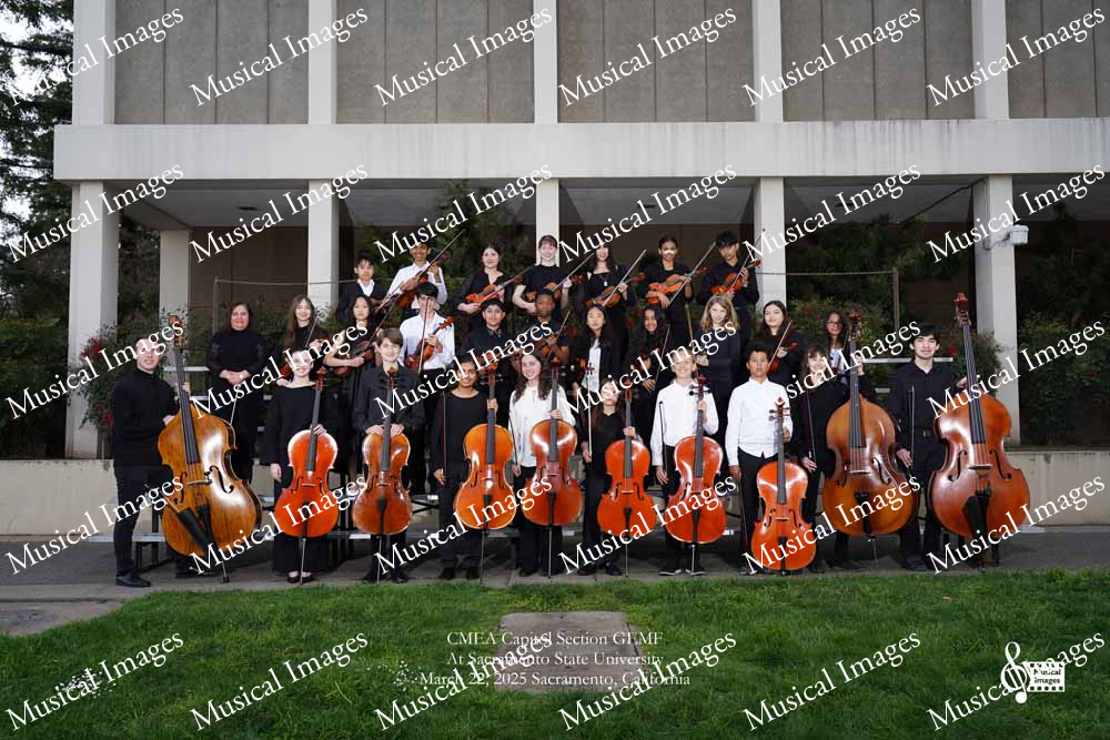 Musical Images